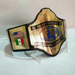 WWF Title Hulk Hogan World Wrestling Federation Championship Belt Replica – 6mm Brass Plates | Adult Size
