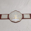 WWE Big Gold World Heavyweight Wrestling Championship Replica Belt