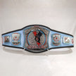 CM Punk Spinner Wrestling Championship Replica Belt – 6mm Brass Plates | Adult Size