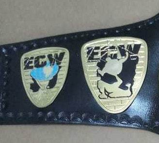 ECW World Television Championship Replica Title Belt – 6mm Brass Plates | Adult Size