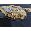 IWGP World Heavyweight Championship Replica Belt 6mm Brass Plates | Adult Size