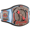 CM Punk 434-Day Record Signature Championship