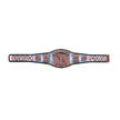 CM Punk 434-Day Record Signature Championship