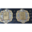 IWGP Heavyweight Championship Replica Belt 6mm Brass Plates | Adult Size