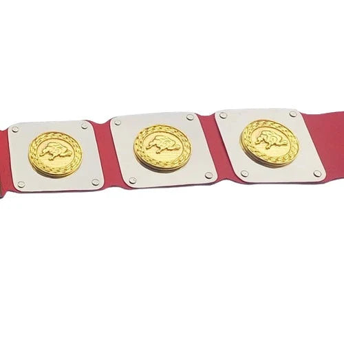 WWWF North American title Heavyweight Wrestling Champion Belt Replica – 6mm Brass Plates | Adult Size